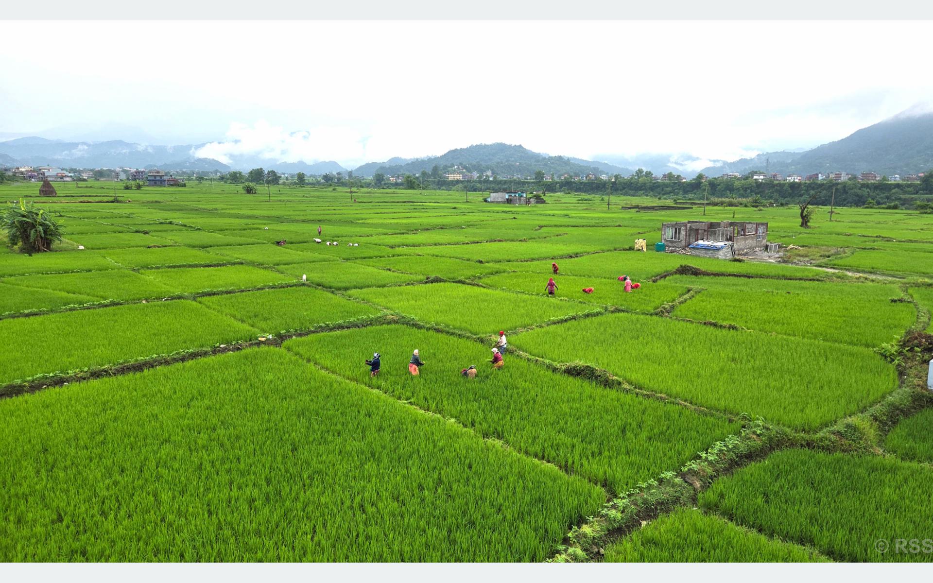 newabhiyan
