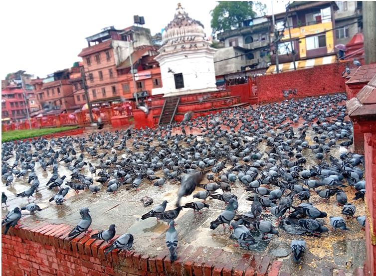 newabhiyan
